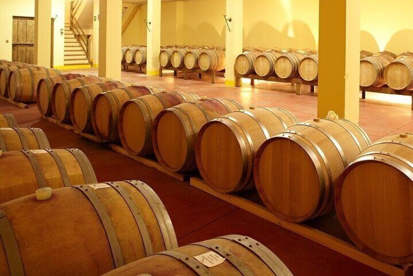 small barrel cellar