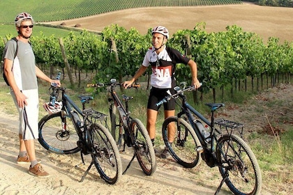 Tour per piccoli gruppi con e-Bike partendo da Siena con degustazione di vi...