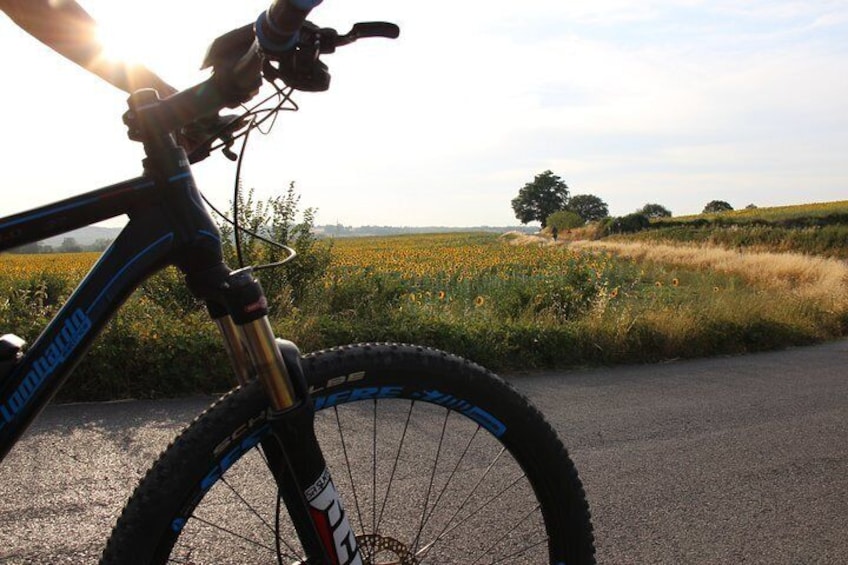 Small Group E-Bike Chianti Tour with Winery lunch from Siena