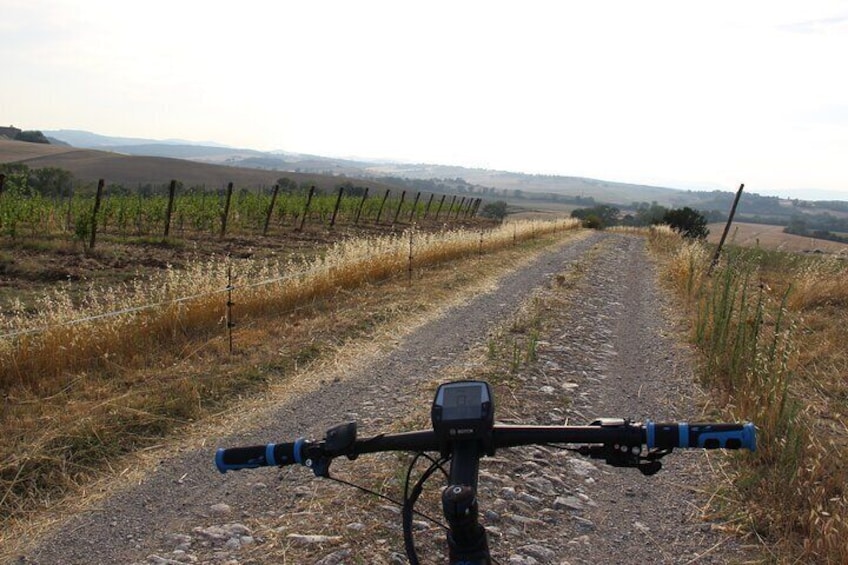 Small Group E-Bike Tour from Siena with Wine Tasting and Lunch