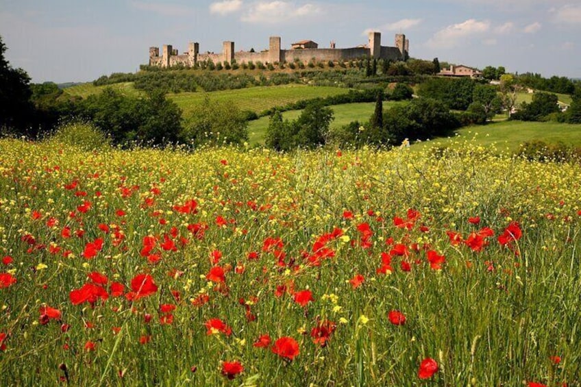 Small Group E-Bike Chianti Tour with Winery lunch from Siena