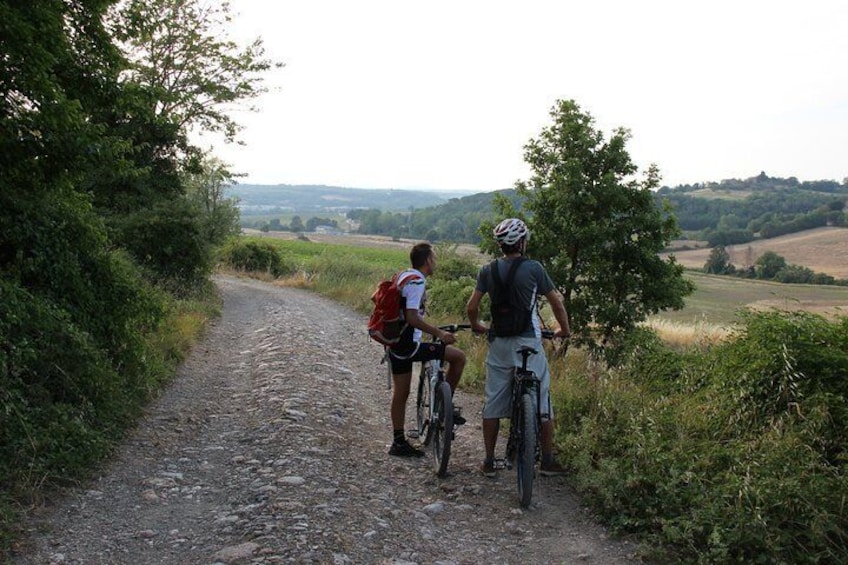 Small Group E-Bike Tour from Siena with Wine Tasting and Lunch