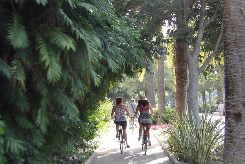 Cycling though the luscious gardens of El Parque