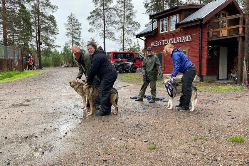 Autumn Husky Sit and Drive Cart Tour from Kiruna