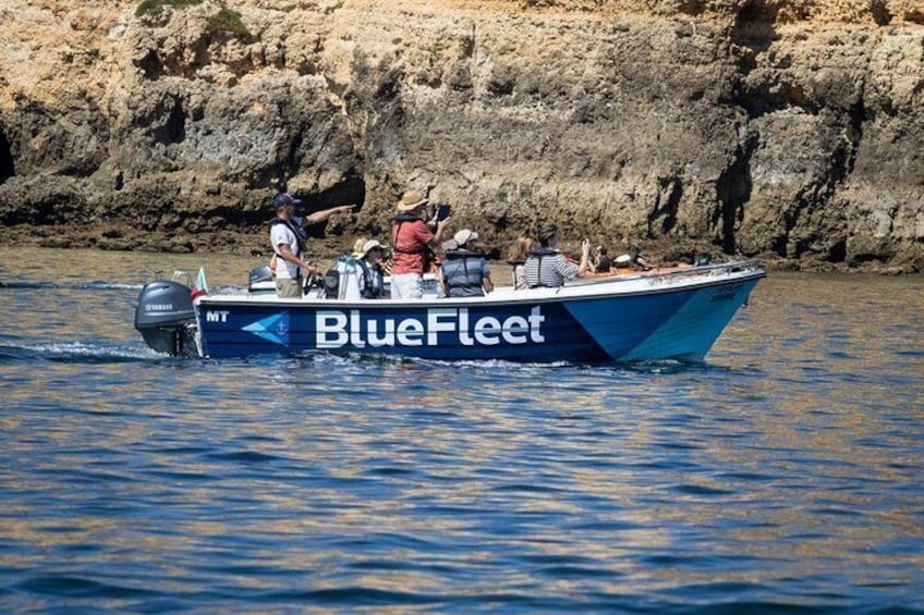 Boat Trip to Ponta da Piedade from Lagos