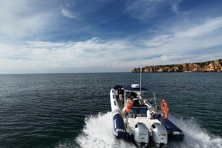 Dolphin Watching from Lagos