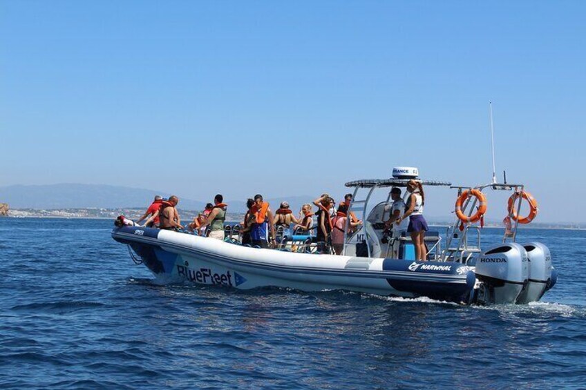 Dolphin Watching from Lagos