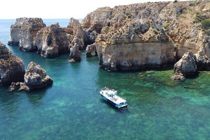 Croisière d’une demi-journée jusqu'à Ponta da Piedade avec déjeuner et bois...