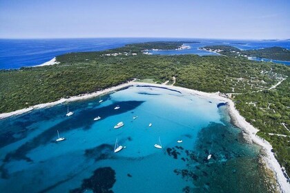 Sakarun Beach: Bootstour in kleiner Gruppe und Schnorcheln bei Schiffswrack...