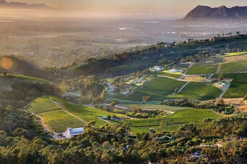 Constantia Valley Wine Region