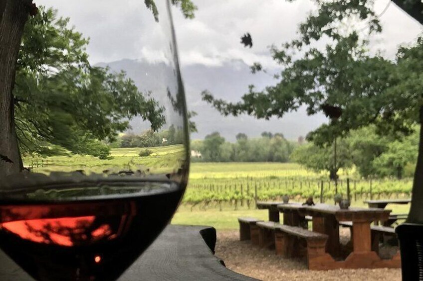 Full-Day Wine Lover Wander Private Connoisseur Tasting Tour from Cape Town