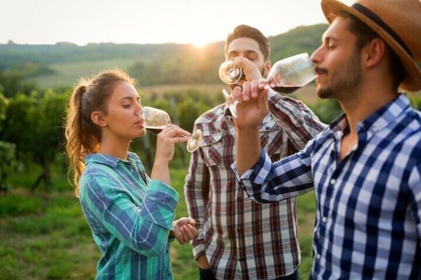 Taste the Cape Winelands: Wine Tram + Franschhoek, Stellenbosch & Paarl regions