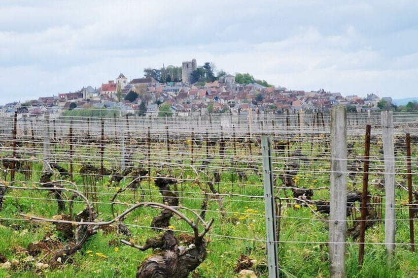 The hilltop town of Sancerre