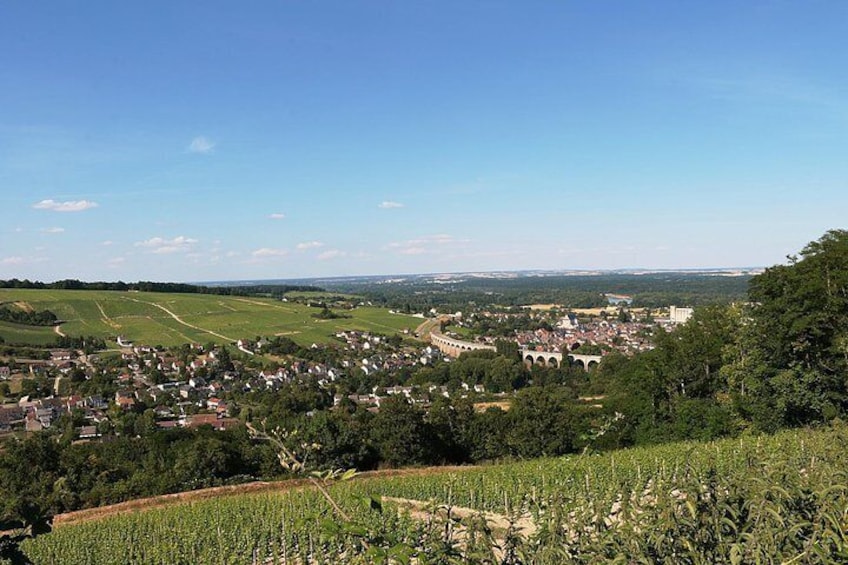 A drive through the vineyards