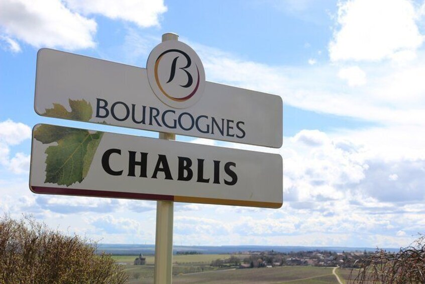 Tour of vineyards of Chablis