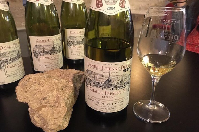 Learn about the unique Chablis terroir