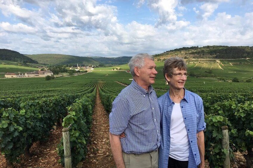 A view of Auxey-Duresses vineyards