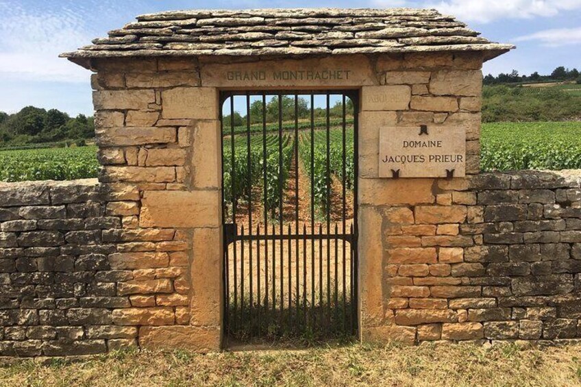 Beautiful stone walls & entrances to the "Clos" of Burgundy