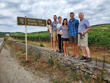 Day tour of the road of the Grands Crus vineyards of Burgundy.