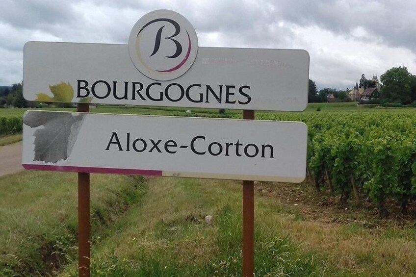 The famous village and vineyards of Aloxe-Corton