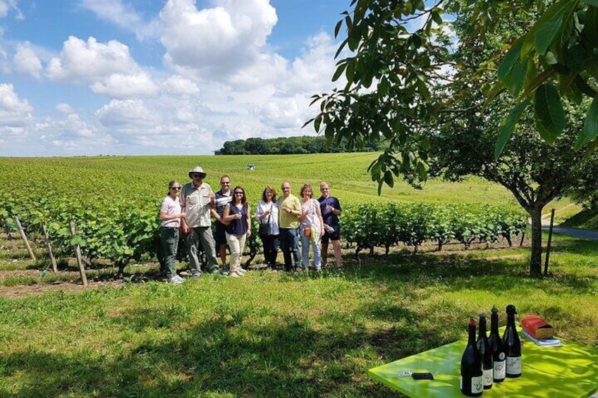 Loire Valley Day from Tours : Azay-le-Rideau, Villandry, Winery