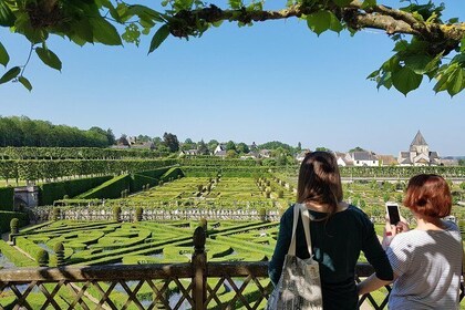 Loire Valley Day Tour from Tours : Villandry, l'Islette and 2 Vouvray Winer...