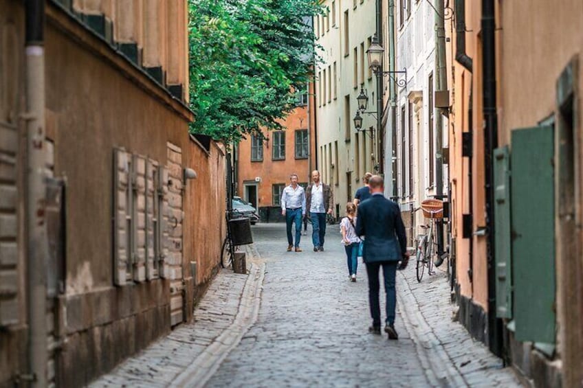Stockholm Old Town & Vasa Museum Private Walking Tour