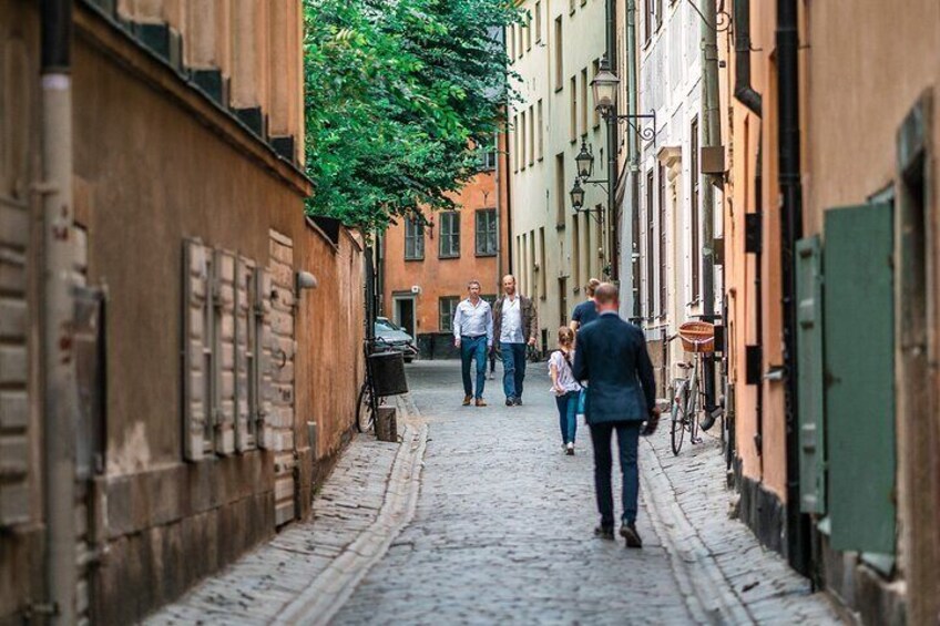 Stockholm Old Town & Vasa Museum Private Walking Tour