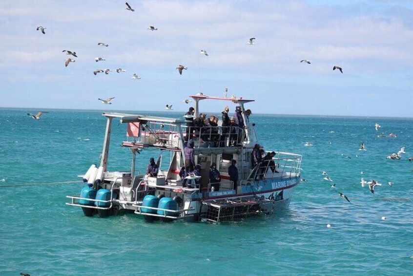 Custom built luxury vessel, Slashfin
