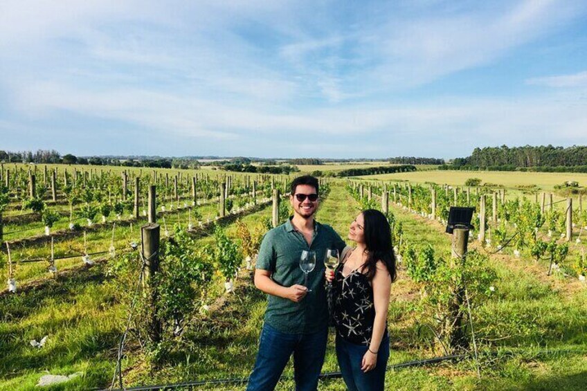 Vineyard tour 