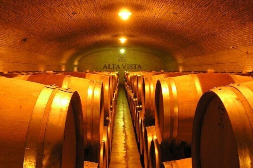 Altavista Winery
