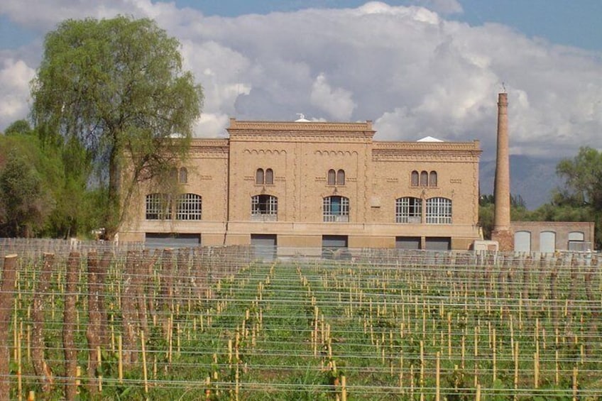 Trapiche Winery
