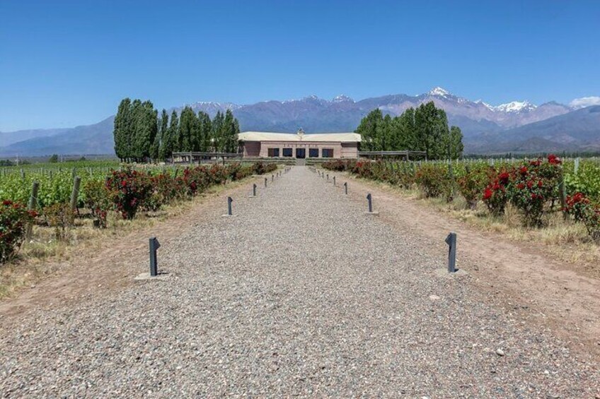 Bodega Salentein 