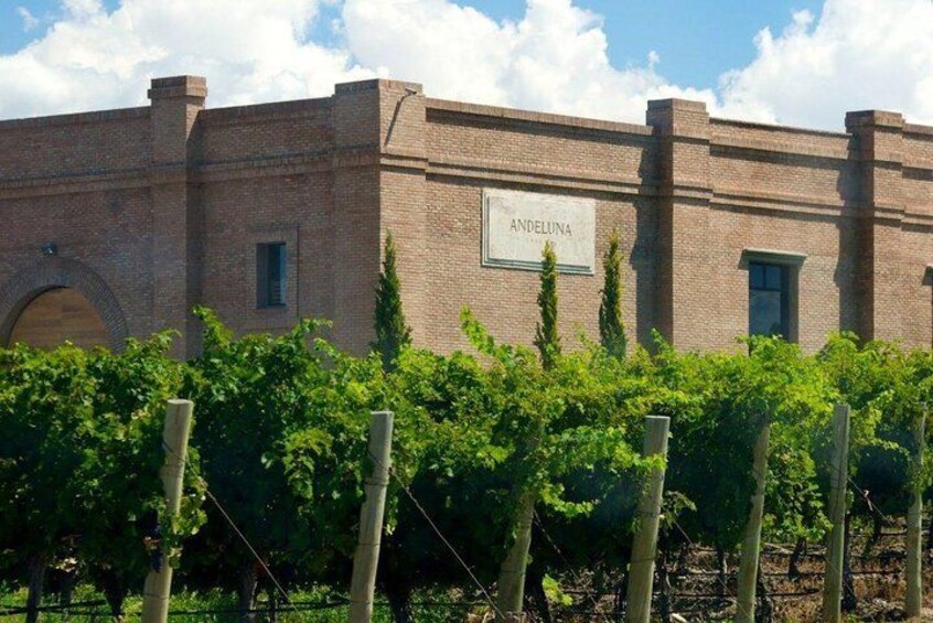 Andeluna Winery