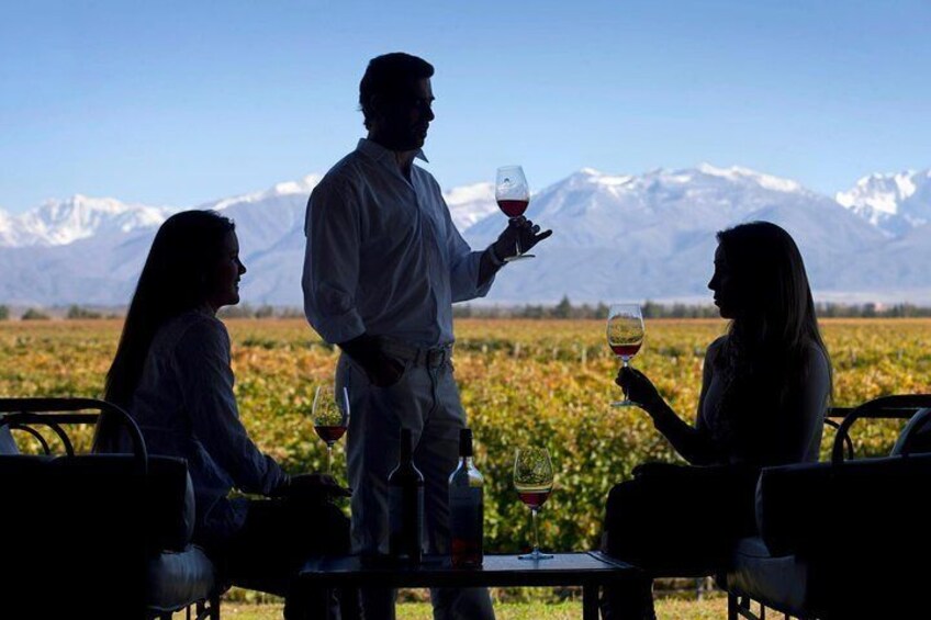 Uco Valley Wine Day Trip from Mendoza