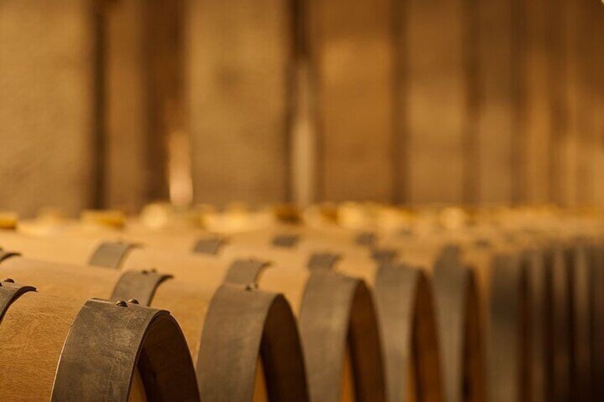 Benegas Winery