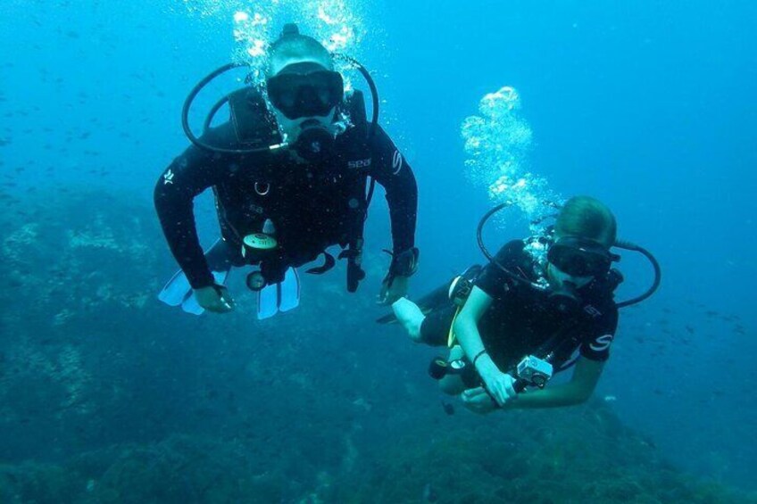 PADI Discover Scuba Diving in Koh Tao - half day and two dives