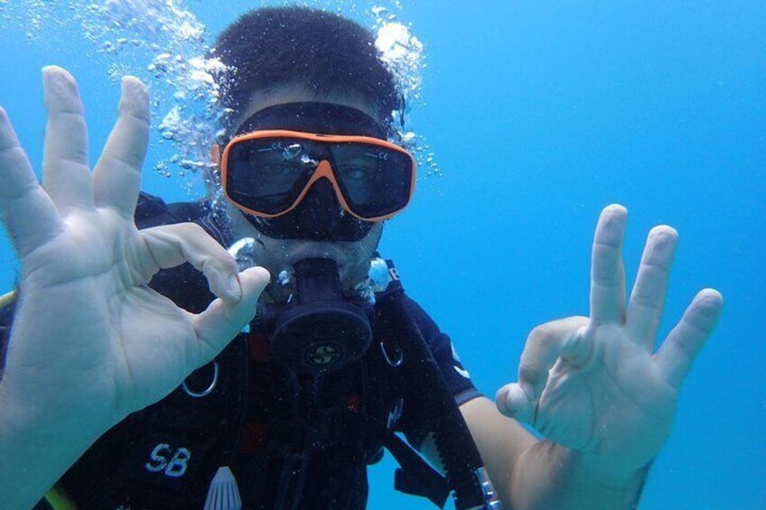 PADI Discover Scuba Diving in Koh Tao - half day and two dives