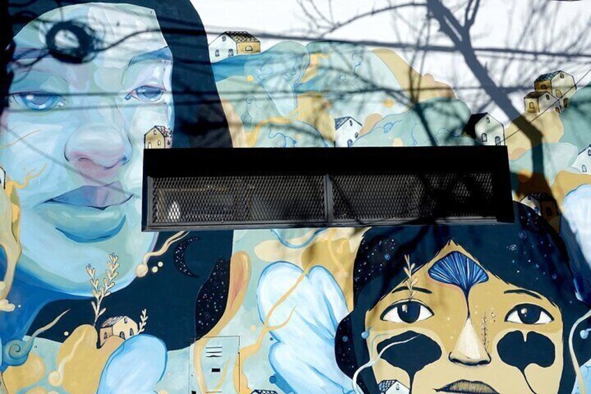 Small-Group Buenos Aires Graffiti Art NorthTour