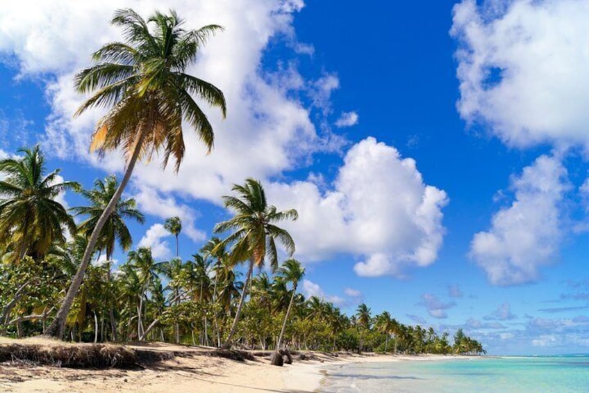 Relax on the beaches of the Caribbean