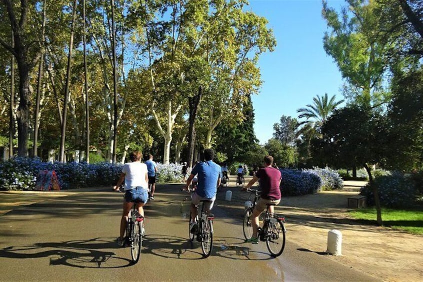 Seville Electric Bike Tour