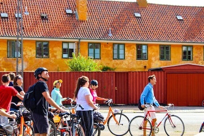 Copenhagen 3-hour Private Bike Tour