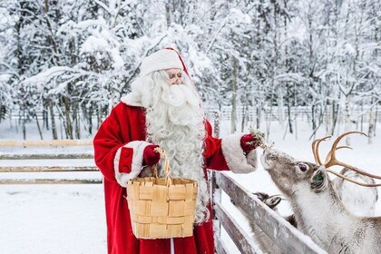 Viaje al círculo polar ártico, Santa Claus Village y Santas Reindeer.