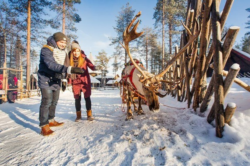 Trip to Arctic Circle, Santa Claus Village and Santas Reindeer