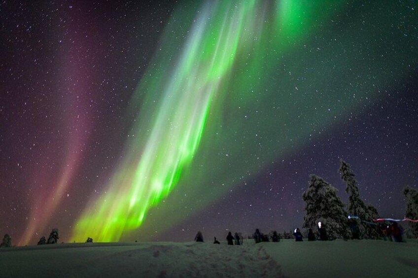 Northern Lights Snowmobile Sleigh Ride