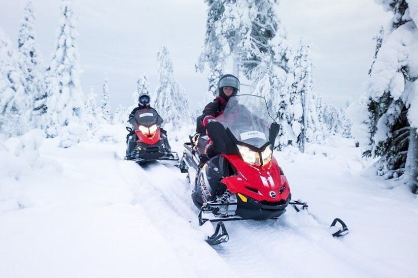 Snowmobile Safari in the Forest