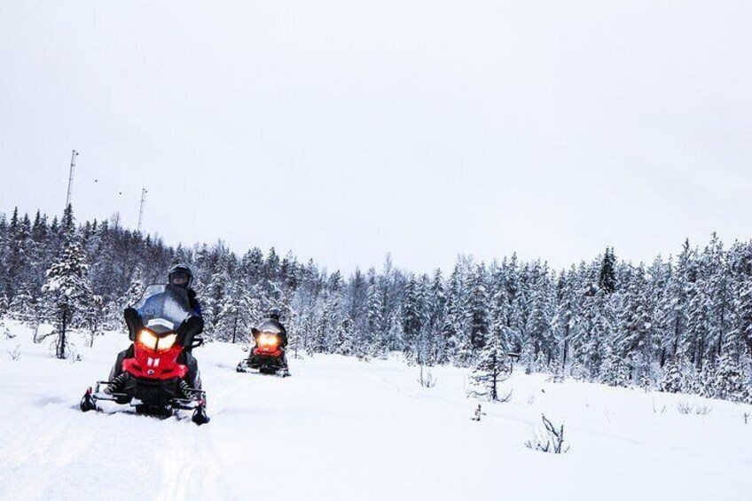 Snowmobile Safari on the Tundra