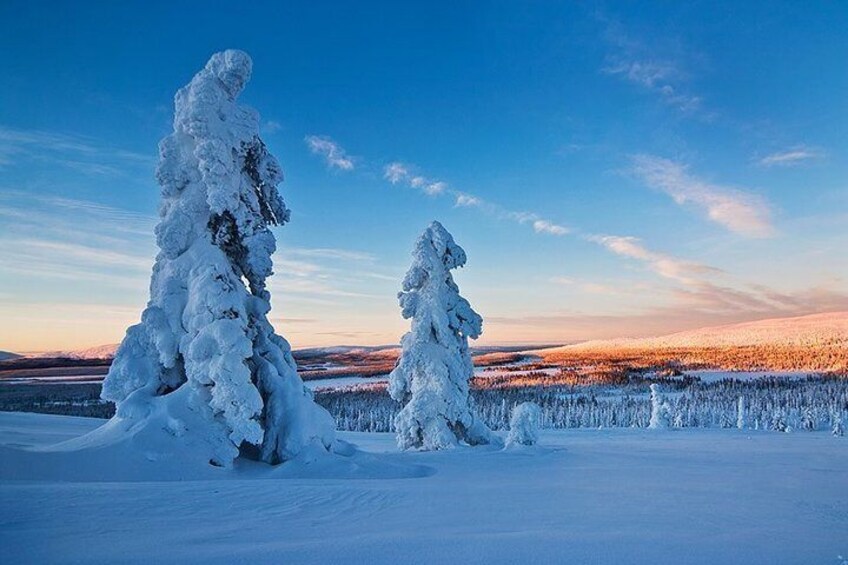 Photograping Tour by Snowmobile Sleigh