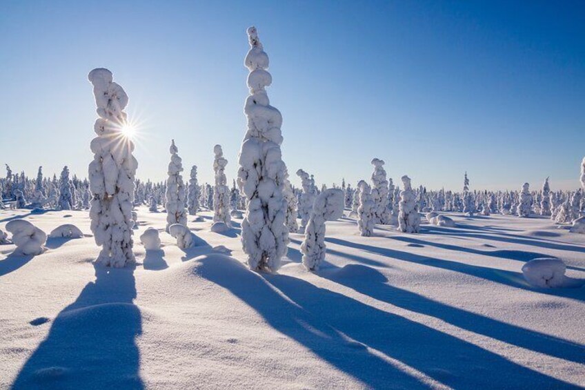 Photograping Tour by Snowmobile Sleigh