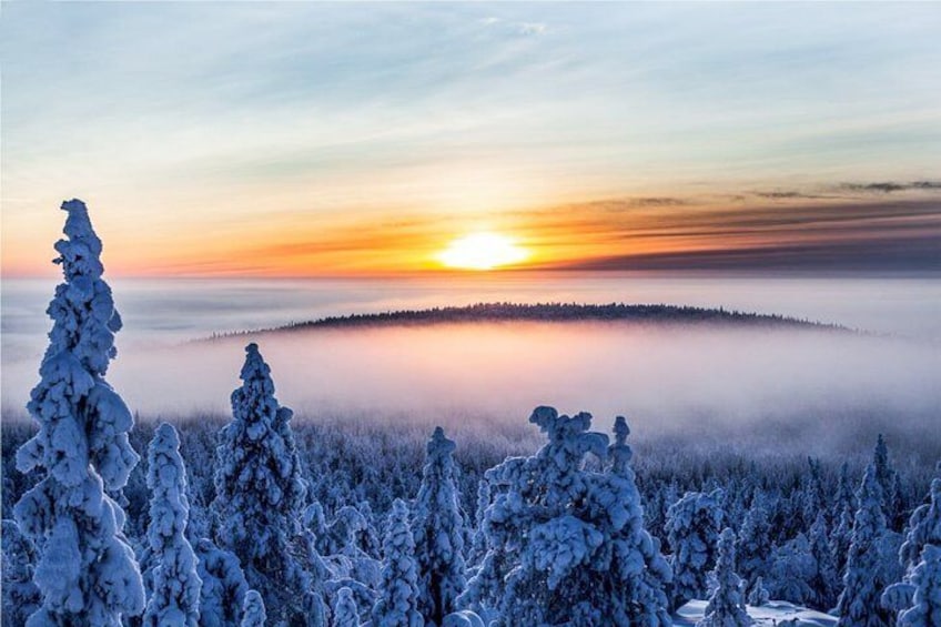 Photograping Tour by Snowmobile Sleigh